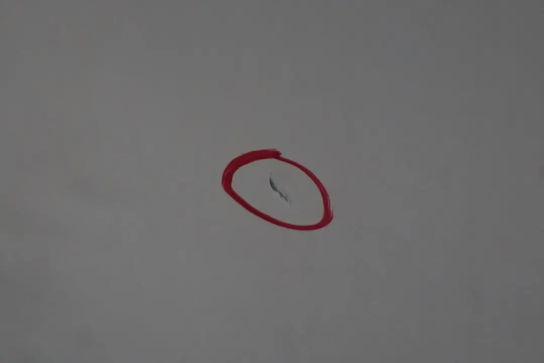 Portiera Posteriore Destra Bianco Alpino Alpin Bianco - 300 per BMW E65 con numero di parte 7202084 BMW E65 Portiera Posteriore Destra Bianco Alpino Alpin Bianco - 300 - SKU 7202084-AW - Numero di parte 7202084