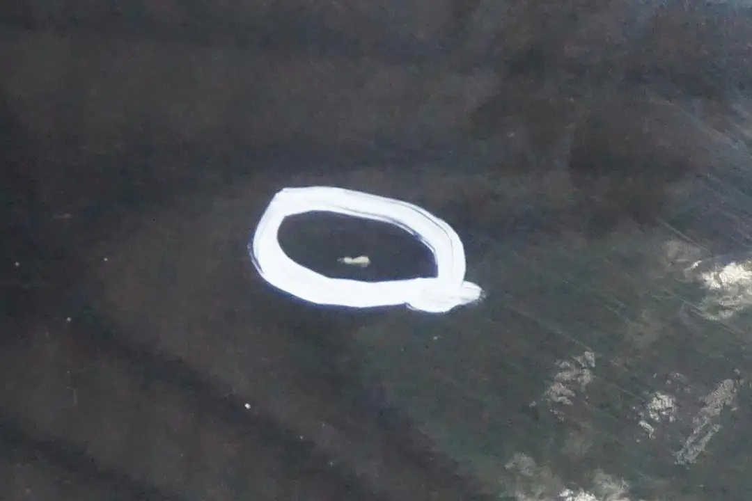 Cote Conducteur Panneau Laterale avant Droit Aile Noir Saphir Metalli pour BMW X5 E53 à propos du numéro de pièce 7000386 BMW X5 E53 Cote Conducteur Panneau Laterale avant Droit Aile Noir Saphir Metalli - SKU 7000386-BS1 - Numéro de pièce 7000386