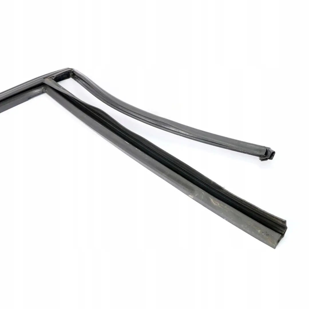  .*BMW X1 E84 Guarnizione Guida Finestrino Destro Porta Posteriore - SKU 2990320 - Numero di parte 2990320