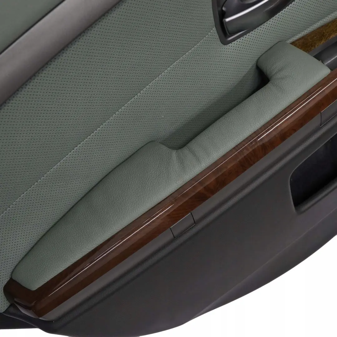 BMW E65 Pannello Porta Copertura Posteriore Sinistra Pelle Nasca Verde - SKU 7144159 - Numero di parte 7144159