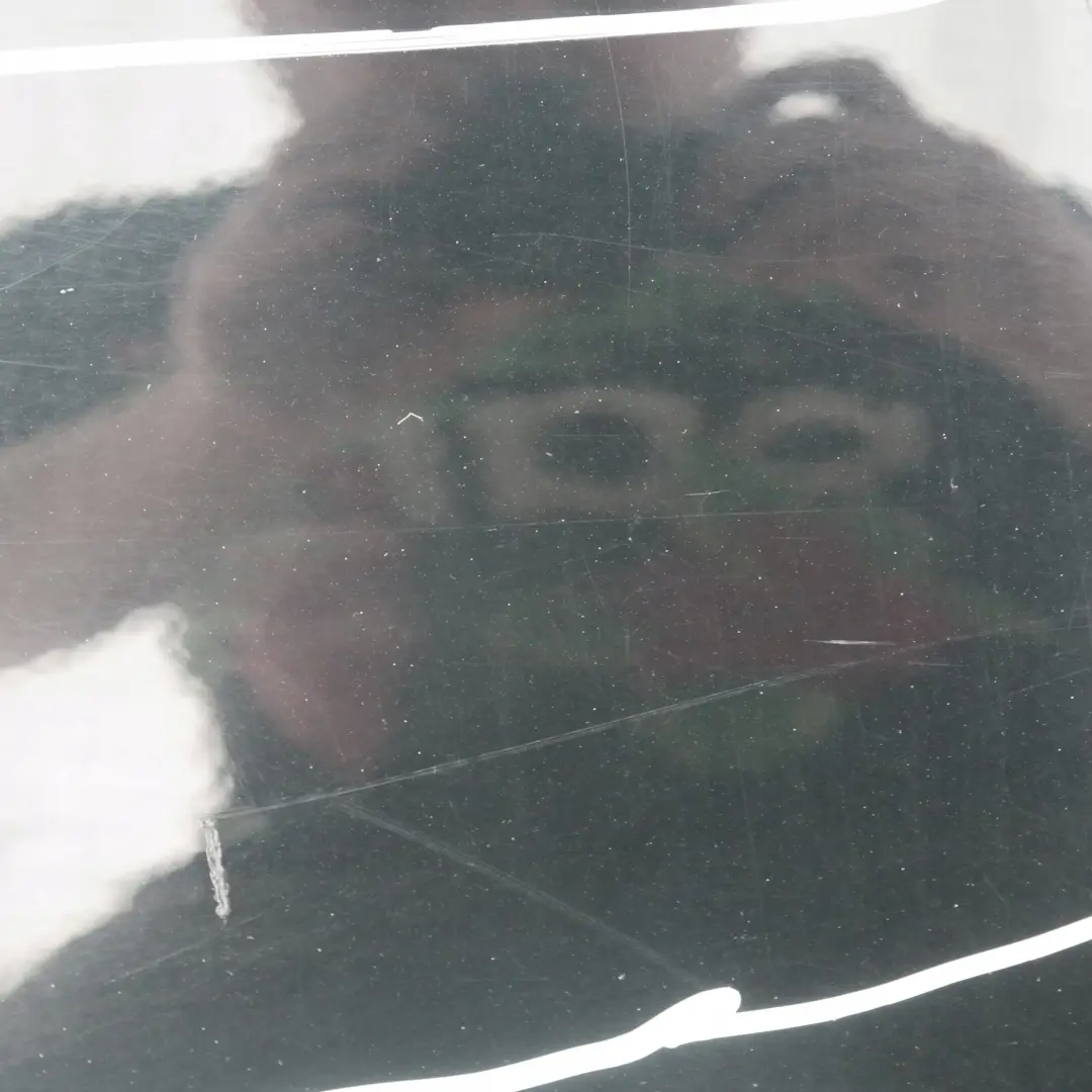 Porta posteriore destra Schwarz 2 Nero II - 668 per BMW E87 con numero di parte 7191018 BMW E87 Porta posteriore destra Schwarz 2 Nero II - 668 - SKU 7191018-SCH20 - Numero di parte 7191018