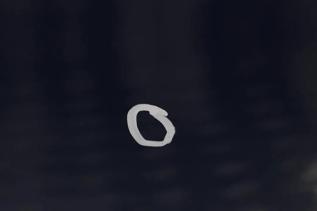 Door Front Right O/S Le Mans Blau Blue Metallic - 381 to BMW 1 Series E87 2 with Part number 7191012 BMW 1 Series E87 2 Door Front Right O/S Le Mans Blau Blue Metallic - 381 - SKU 7191012-LMB2 - Part number 7191012