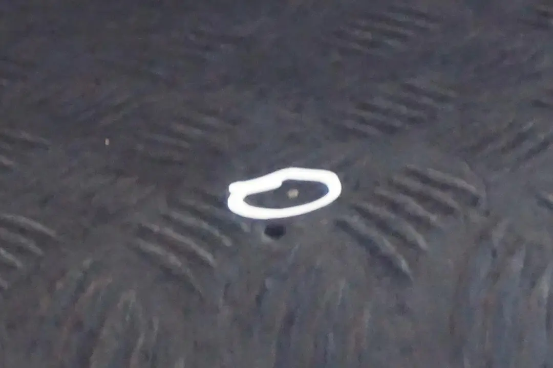 Door Front Left N/S Tiefseeblau Deep Sea Blue Metallic - A76 to BMW 5 E60 E61 with Part number 7202339 BMW 5 E60 E61 Door Front Left N/S Tiefseeblau Deep Sea Blue Metallic - A76 - SKU 7202339-DSB2 - Part number 7202339