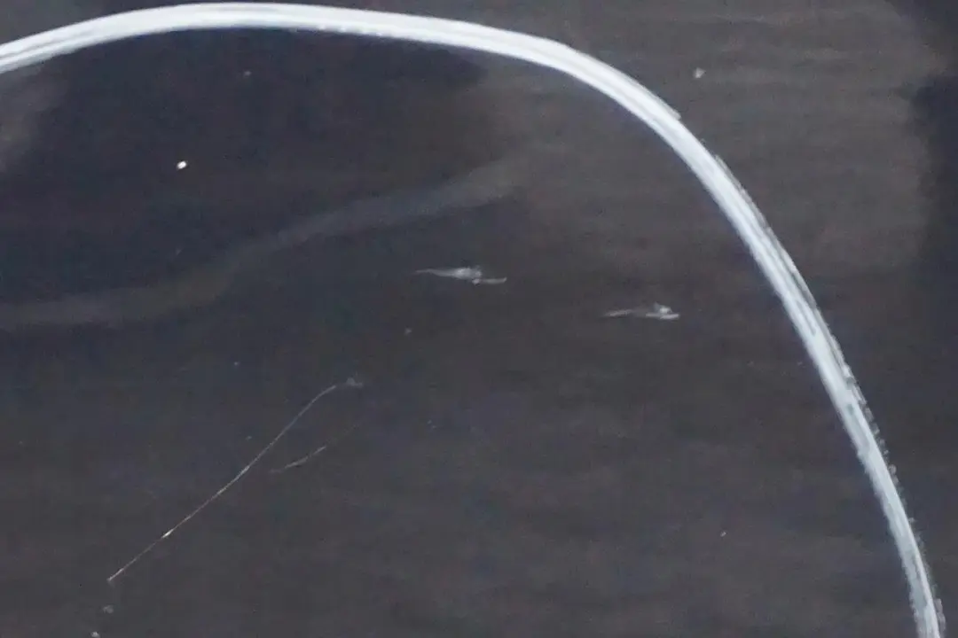 Puerta Delantera Derecha Monacoblau Monaco Azul Metalizado - A35 para BMW E60 E61 1 con número de pieza 7202340 BMW E60 E61 1 Puerta Delantera Derecha Monacoblau Monaco Azul Metalizado - A35 - SKU 7202340-MB1 - Número de pieza 7202340