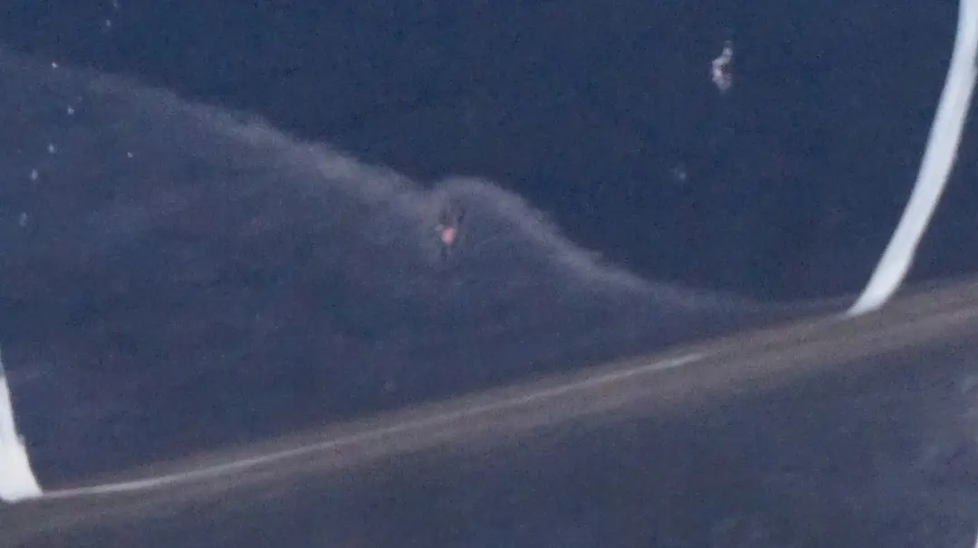 Drzwi prawe przednie przód Topasblau do BMW E53 X5 o numerze 8256824 BMW E53 X5 Drzwi prawe przednie przód Topasblau - SKU 8256824-TPB1 - Numer Części 8256824