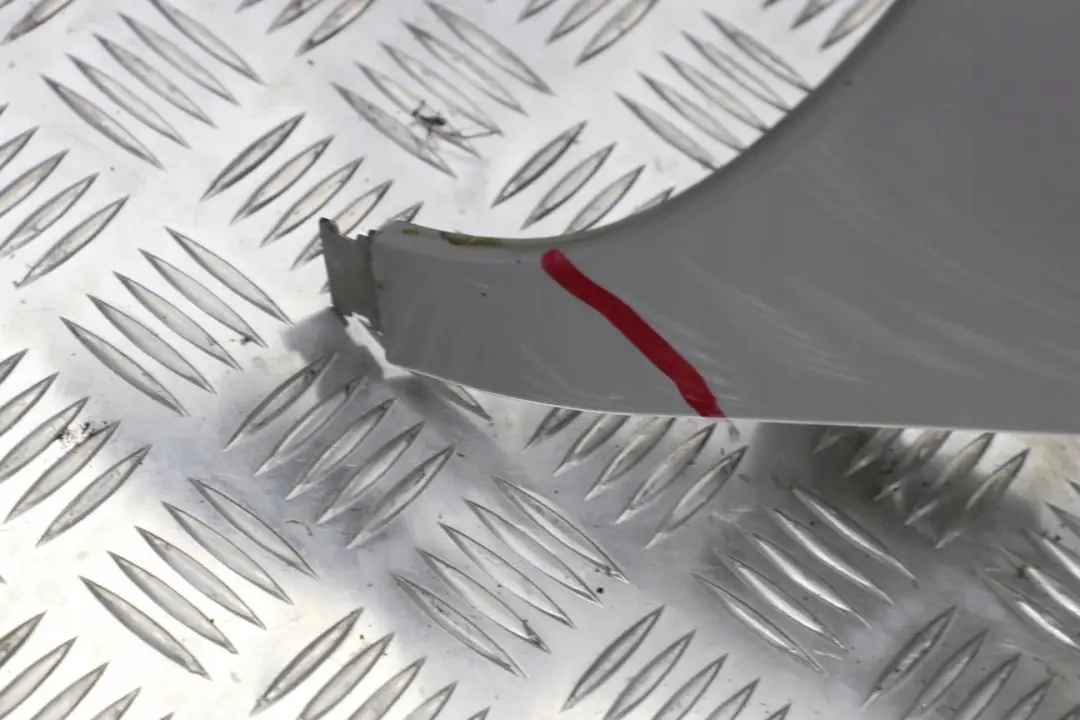 Side Panel Wing Fender Front Left N/S Titansilber Silver - 354 to BMW X5 E53 6 with Part number 7000385 BMW X5 E53 6 Side Panel Wing Fender Front Left N/S Titansilber Silver - 354 - SKU 7000385-TS6 - Part number 7000385