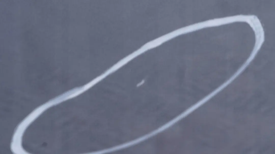 Droite Quartzbleu Bleu Metallise pour BMW E87 LCI Porte avant à propos du numéro de pièce 7191012 BMW E87 LCI Porte avant Droite Quartzbleu Bleu Metallise - SKU 7191012-QB - Numéro de pièce 7191012