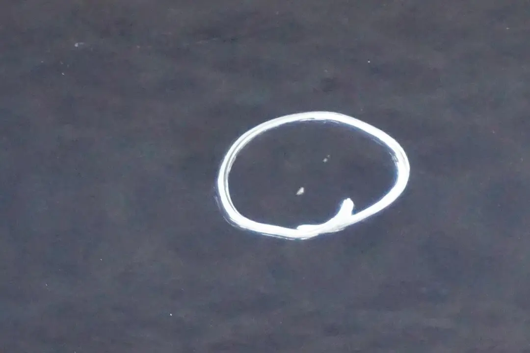 Door rear left N/S Tiefseeblau Deep Sea Blue Metallic A76 to BMW 1 Series E87 E87N with Part number 7191017 BMW 1 Series E87 E87N Door rear left N/S Tiefseeblau Deep Sea Blue Metallic A76 - SKU 7191017-DSB - Part number 7191017