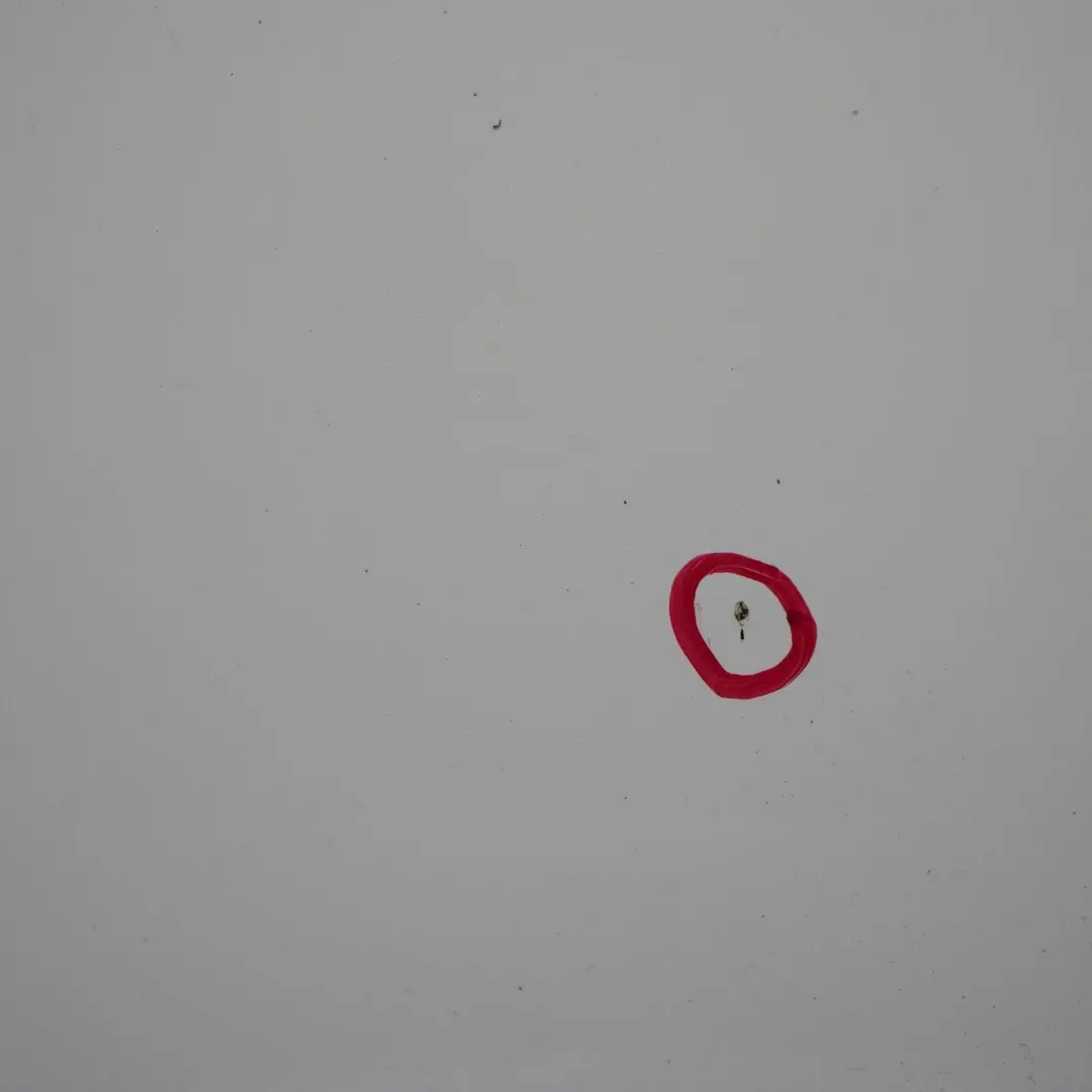 Trasero Derecho Clubdoor Puerta Club Blanco Pimienta - 850 para Mini Clubman R55 2 con número de pieza 7312189 Mini Clubman R55 2 Trasero Derecho Clubdoor Puerta Club Blanco Pimienta - 850 - SKU 7312189-PW2 - Número de pieza 7312189