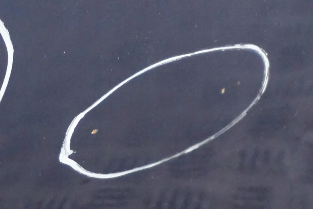 Drzwi lewe tylne tył Tiefseeblau do BMW E61 o numerze 7158501 BMW E61 Drzwi lewe tylne tył Tiefseeblau - SKU 7158501-DSB - Numer Części 7158501