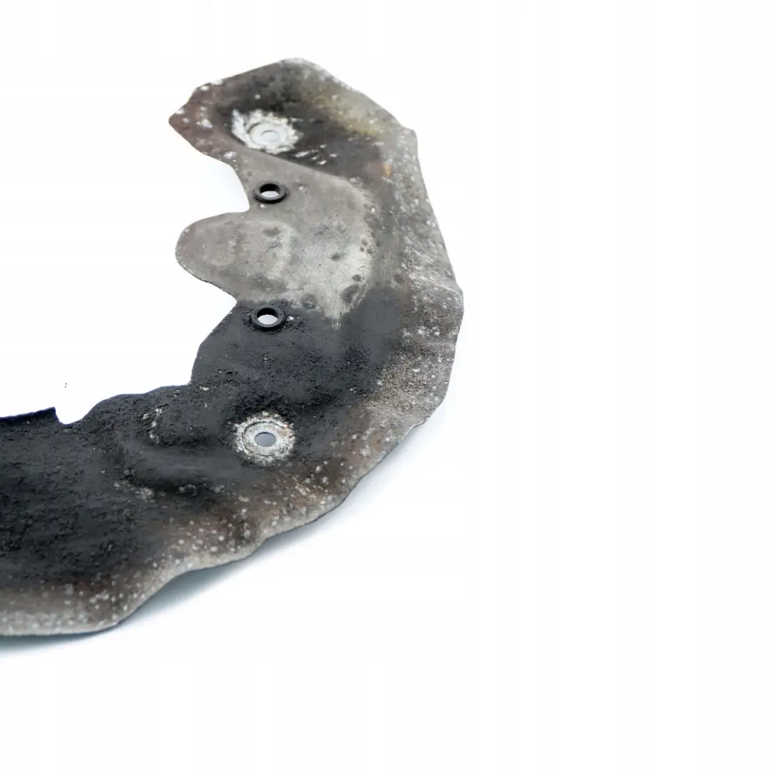 Protection Cover Plate Brake Disc Front Left N/S 6767693 to BMW 6 Series E63 E64 with Part number 6767691 BMW 6 Series E63 E64 Protection Cover Plate Brake Disc Front Left N/S 6767693 - SKU 6767691 - Part number 6767691
