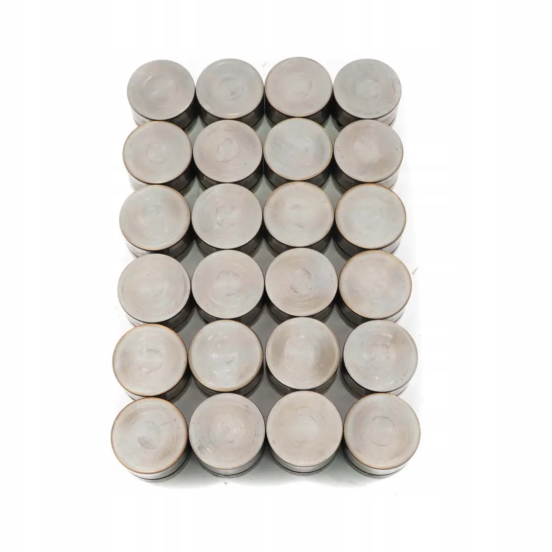 E60E83 M54 Punterie Elettrovalvola Valvola Punteria per BMW X3 X5 E53 con numero di parte 1748884 BMW X3 X5 E53 E60E83 M54 Punterie Elettrovalvola Valvola Punteria - SKU 1748884-1 - Numero di parte 1748884