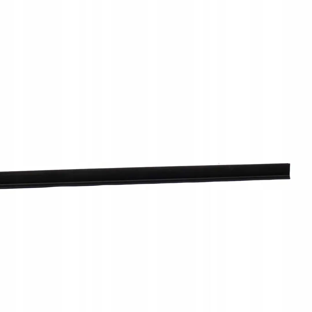 BMW X3 E83 E83N LCI Couverture Marchepied A Gauche 5171 - SKU 3403001 - Numéro de pièce 3403001