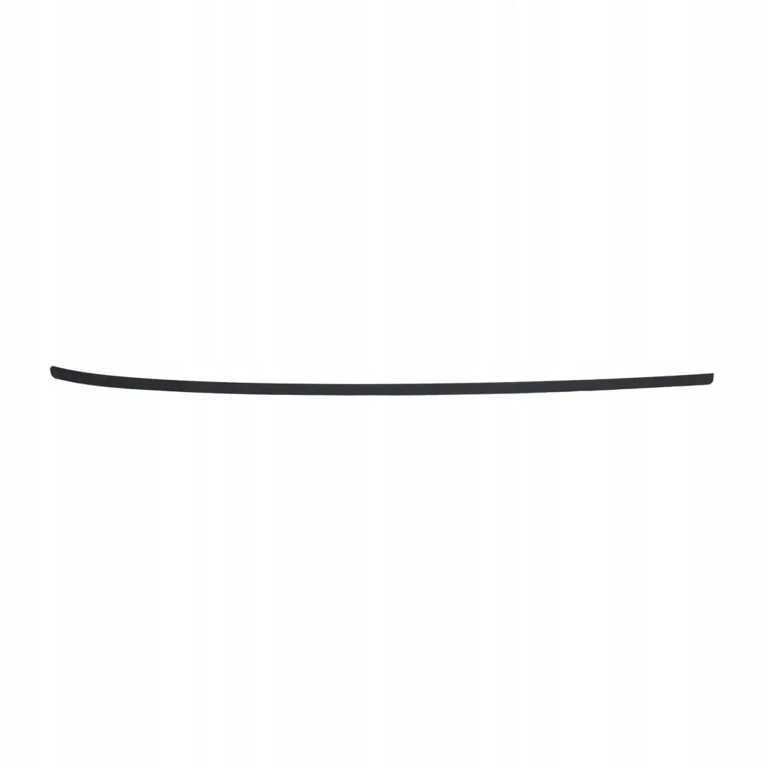 BMW X1 Series E84 Right O/S Roof Railing Rack Moulding Gutter Trim Primed - SKU 2990858 - Part number 2990858