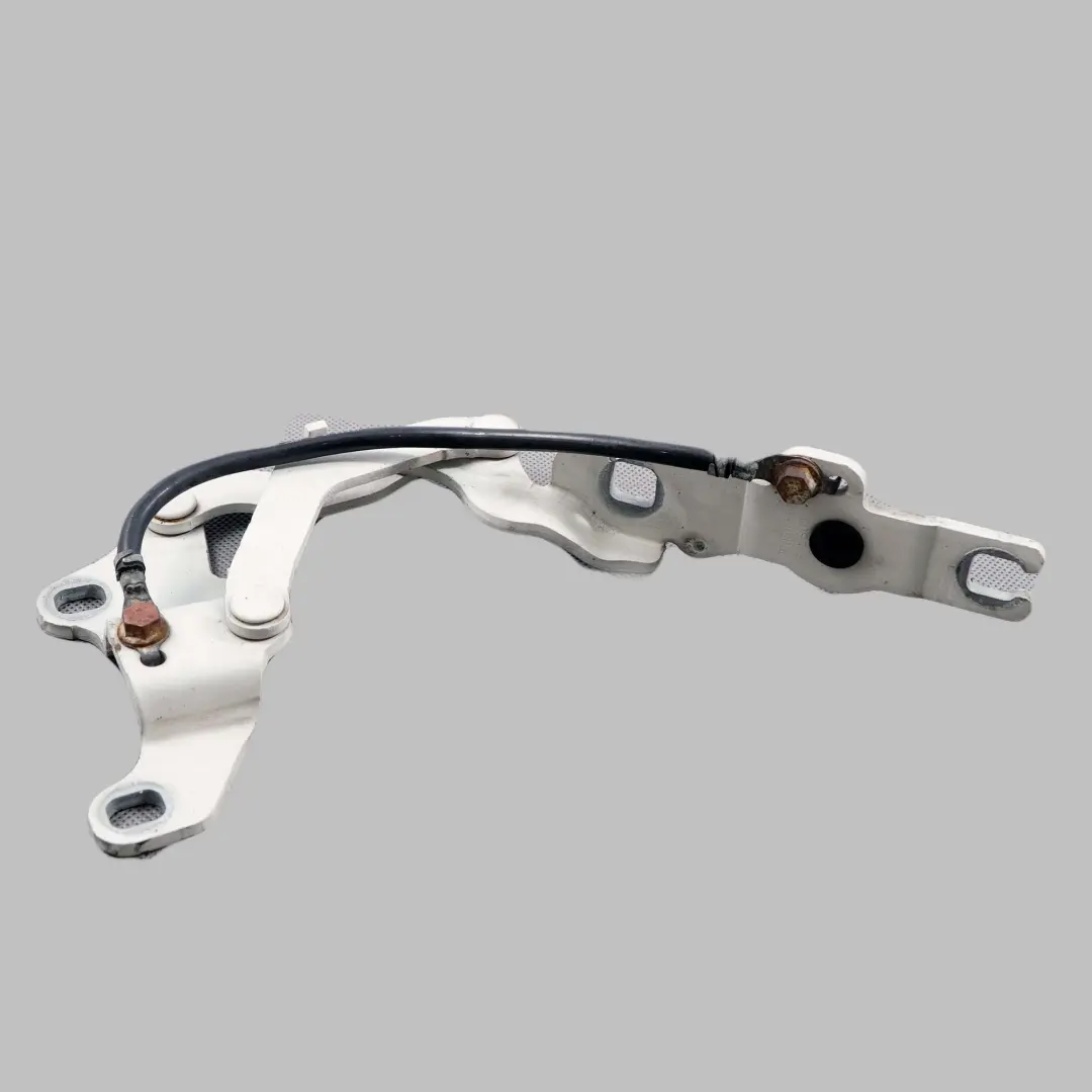 BMW E81 E87 A Gauche Charniere Rabat Blanc des Alpes Blanc - SKU 7191213-AW - Numéro de pièce 7060559