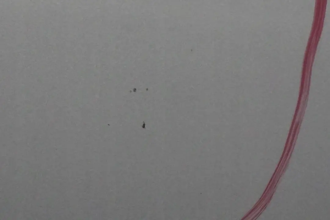 drzwi lewe lewy przód Polar silver do MERCEDES W168 o numerze A1687201905 MERCEDES W168 drzwi lewe lewy przód Polar silver - SKU A1687201905-PS - Numer Części A1687201905