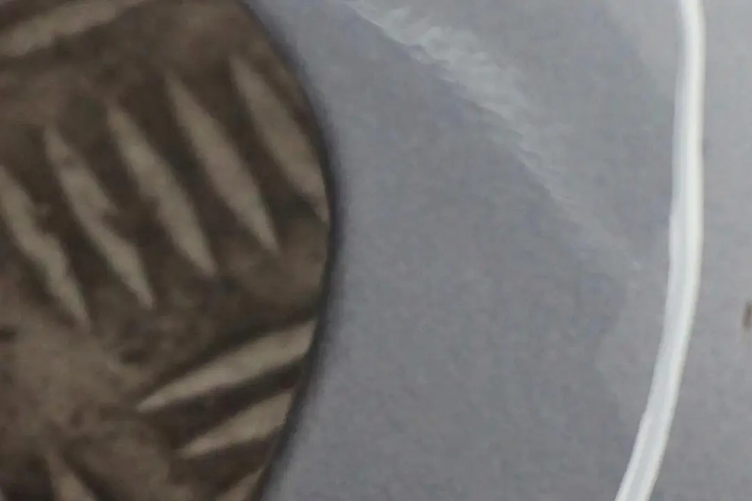 Panneau Laterale a L'Avant Gauche Garde-Boue Gris Acier Gris - 400 pour BMW X5 E53 1 à propos du numéro de pièce 7000385 BMW X5 E53 1 Panneau Laterale a L'Avant Gauche Garde-Boue Gris Acier Gris - 400 - SKU 7000385-STH2 - Numéro de pièce 7000385