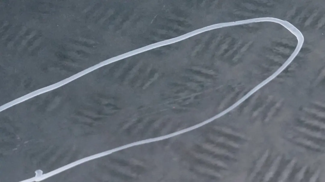 Door Front Right Mini R55 R56 R57 R58 R59 O/S British Racing Green - A67 to with Part number 2755936 Door Front Right Mini R55 R56 R57 R58 R59 O/S British Racing Green - A67 - SKU 2755936-BRG4 - Part number 2755936