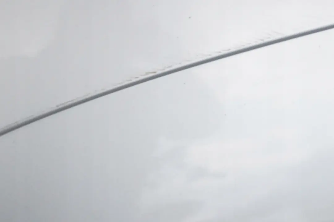 Bumper Trim Panel Titansilber Silver to BMW Z4 Series E85 Convertible Roadster Rear with Part number 0031136 BMW Z4 Series E85 Convertible Roadster Rear Bumper Trim Panel Titansilber Silver - SKU 0031136-TS - Part number 0031136