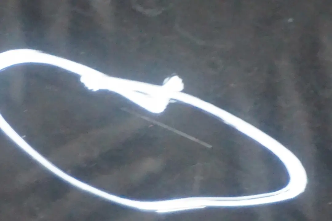 GenuineBMW E60 E60N Puerta Trasera Derecha Negro Schwarz 2 - 668 para con número de pieza 7202342 GenuineBMW E60 E60N Puerta Trasera Derecha Negro Schwarz 2 - 668 - SKU 7202342-SCH - Número de pieza 7202342