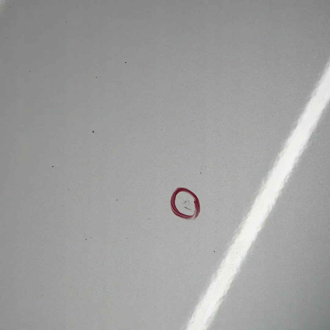 Drzwi prawe Pure Silver do MINI R50 R52 R53 o numerze 7202912 MINI R50 R52 R53 Drzwi prawe Pure Silver - SKU 7202912-PS6 - Numer Części 7202912