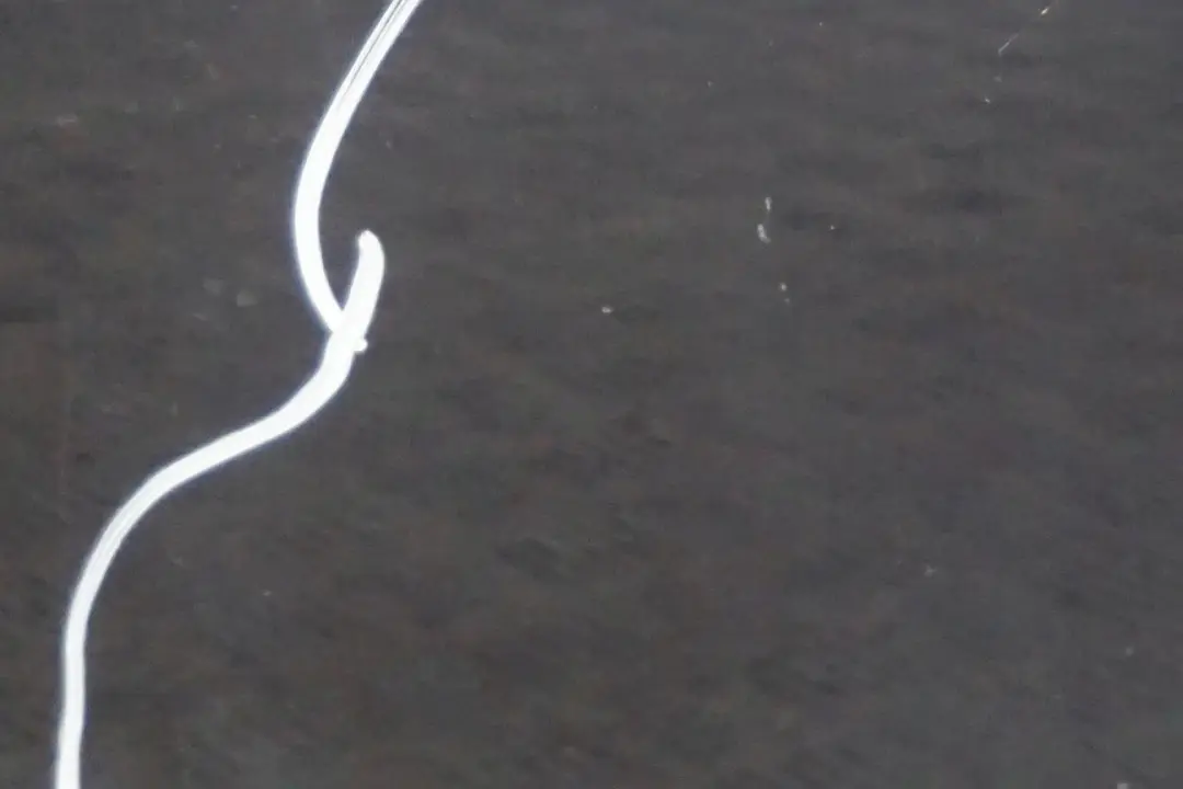 Tür Vorne Rechts Monacoblau Monaco Blau Metallic - A35 für BMW 5 E60 E61 Touring mit Teilenummer 7202340 BMW 5 E60 E61 Touring Tür Vorne Rechts Monacoblau Monaco Blau Metallic - A35 - SKU 7202340-MB1 - Teilenummer 7202340