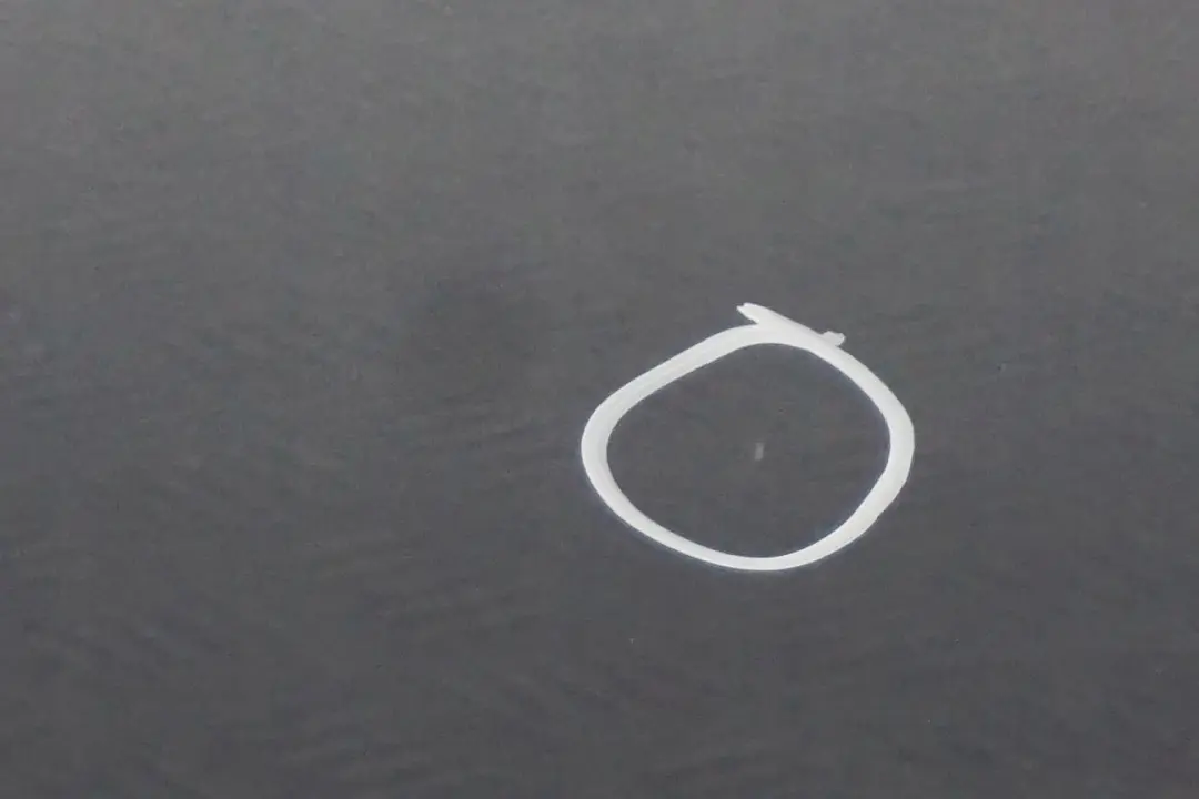 Cote Conducteur Porte avant Gauche Quartzbleu Bleu Metallise - A18 pour BMW 1 E87 à propos du numéro de pièce 7191011 BMW 1 E87 Cote Conducteur Porte avant Gauche Quartzbleu Bleu Metallise - A18 - SKU 7191011-QB10 - Numéro de pièce 7191011