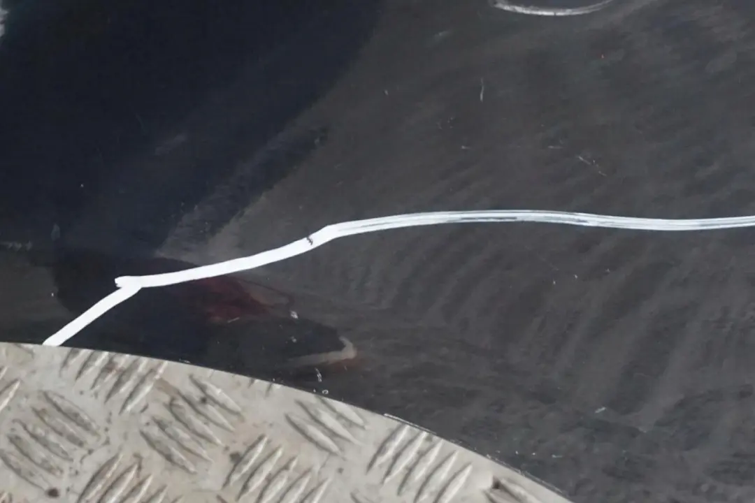 Błotnik lewy Monacoblau do BMW E92 E93 o numerze 2155919 BMW E92 E93 Błotnik lewy Monacoblau - SKU 2155919-MB1 - Numer Części 2155919