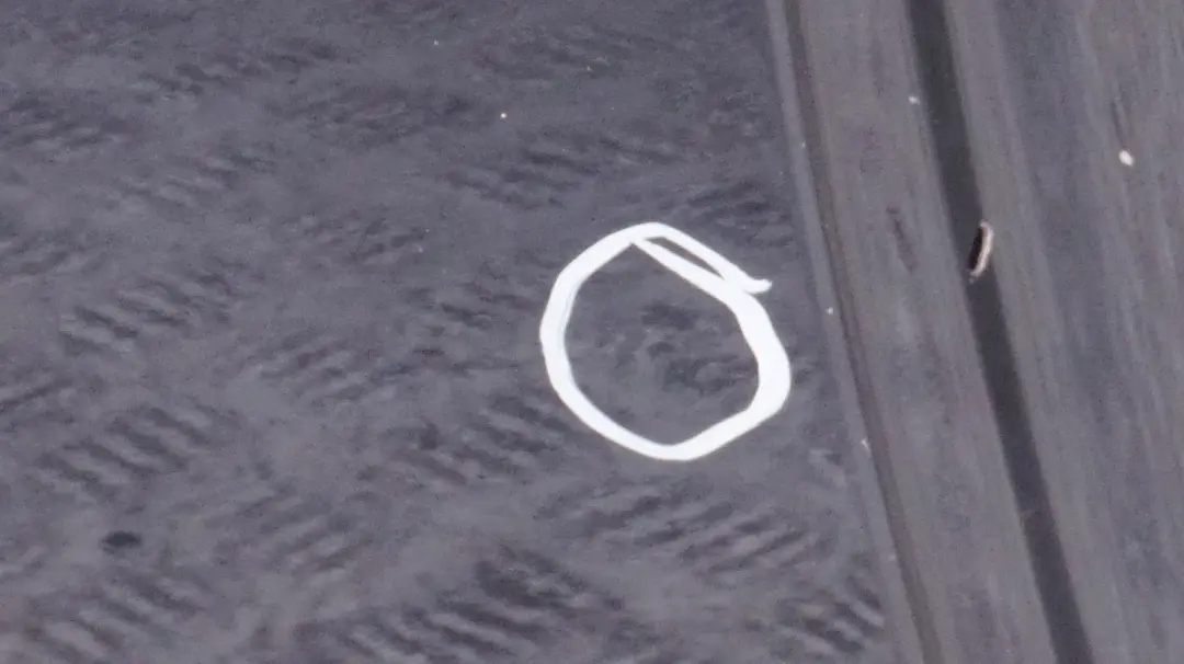 Drzwi Prawe Boczne Astro Black do MINI R55 Clubman o numerze 7312189 MINI R55 Clubman Drzwi Prawe Boczne Astro Black - SKU 7312189-ASB - Numer Części 7312189