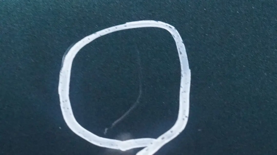 Door Front Right Mini R55 R56 R57 R58 R59 O/S British Racing Green - A67 to with Part number 2755936 Door Front Right Mini R55 R56 R57 R58 R59 O/S British Racing Green - A67 - SKU 2755936-BRG4 - Part number 2755936