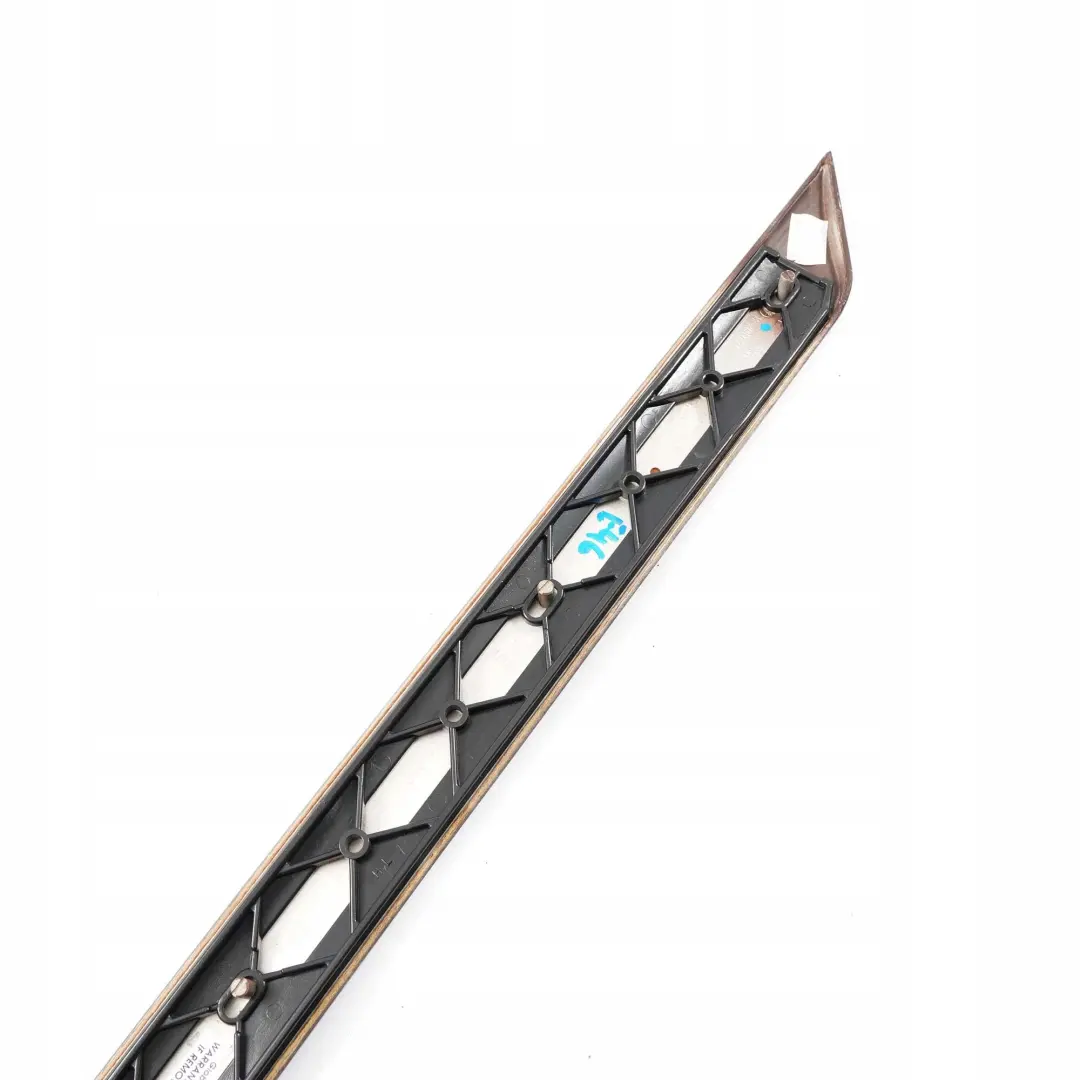 BMW E46 Holzleiste Trim Abdeckung Tür hinten links Holz Myrte - SKU 8200753 - Teilenummer 8200753