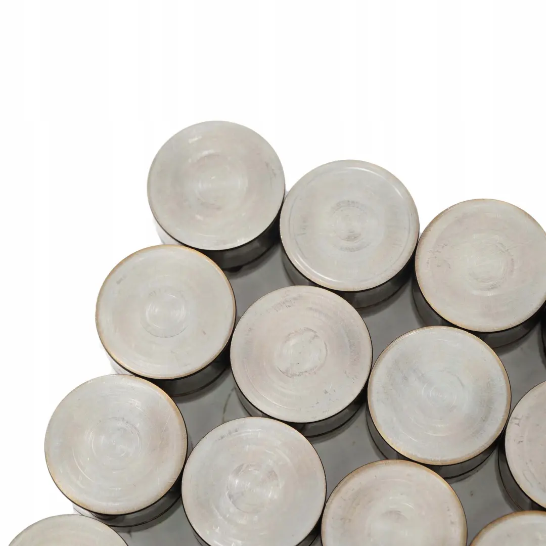 E60E83 M54 Tassenstössel Magnetventil Ventilstössel für BMW 5 X3 X5 E53 mit Teilenummer 1748884 BMW 5 X3 X5 E53 E60E83 M54 Tassenstössel Magnetventil Ventilstössel - SKU 1748884-1 - Teilenummer 1748884