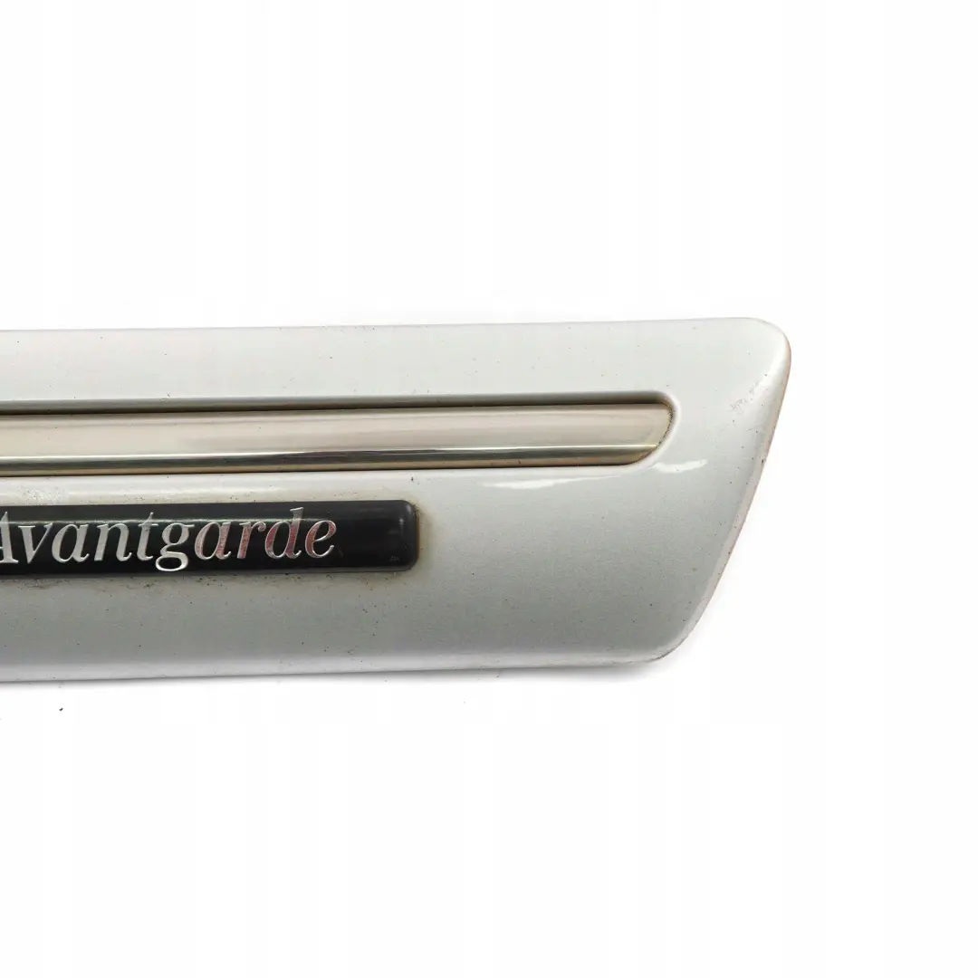 Mercedes W210 Delantero Derecho Guardabarros Molding Strip Brilliant Silver 744 - SKU A2106900282-BRS - Número de pieza A2106900282