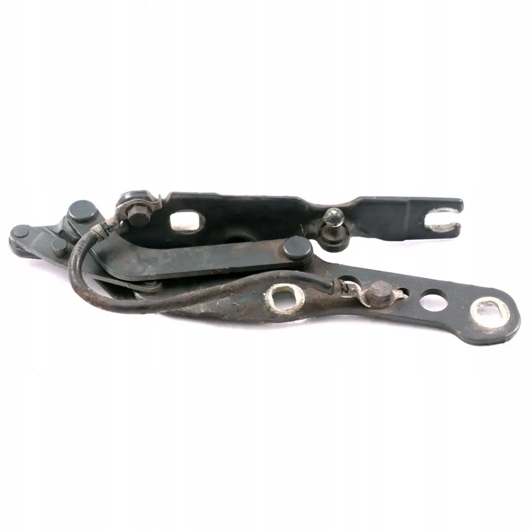 BMW E46 Charniere Rabat a Gauche Vert Oxford Vert Metallique - 430 - SKU 7028577-OXF - Numéro de pièce 7028577