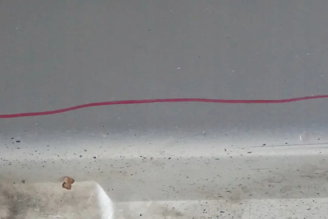 Schwellerleiste Blende Schweller links Titansilber Titan Silber für BMW 7 er E65 mit Teilenummer 0140037 BMW 7 er E65 Schwellerleiste Blende Schweller links Titansilber Titan Silber - SKU 0140037-TS1 - Teilenummer 0140037