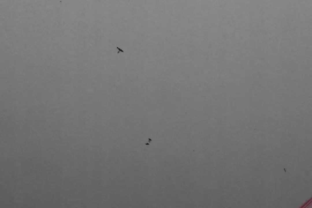 Classe A W168 Porte avant Gauche Polar Argent Metallise - 761U pour Mercedes à propos du numéro de pièce A1687201905 Mercedes Classe A W168 Porte avant Gauche Polar Argent Metallise - 761U - SKU A1687201905-PS - Numéro de pièce A1687201905