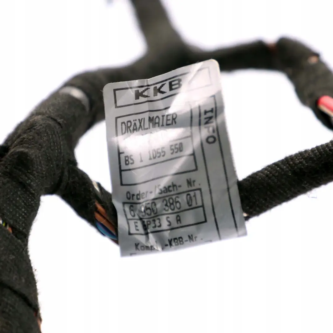 Puerta Trasera Izquierda Cableado Mazo Modulo Portador para BMW E66 con número de pieza 6950384 BMW E66 Puerta Trasera Izquierda Cableado Mazo Modulo Portador - SKU 6950384 - Número de pieza 6950384