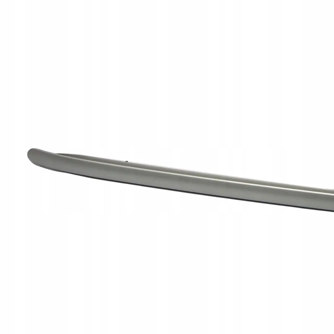 BMW Mini Cooper Countryman R60 Dachreling Dachzierleiste Links Silber - SKU 9800925 - Teilenummer 9800925