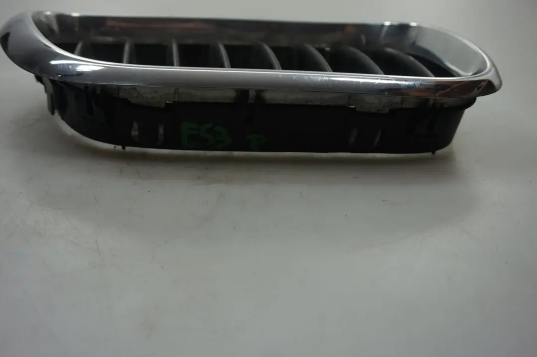 Original X5 Reihe E53 Ziergitter Front Vorne Rechts für BMW mit Teilenummer 8402646 BMW Original X5 Reihe E53 Ziergitter Front Vorne Rechts - SKU 8247674 - Teilenummer 8402646