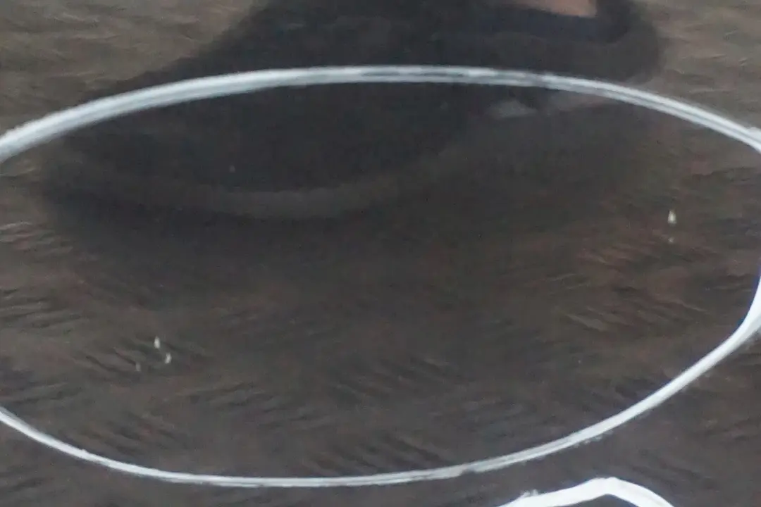 Door Front Right O/S Astro Black Metallic to BMW MINI Cooper 2 R55 R56 R57 R58 R59 with Part number 2755936 BMW MINI Cooper 2 R55 R56 R57 R58 R59 Door Front Right O/S Astro Black Metallic - SKU 2755936-ASB2 - Part number 2755936