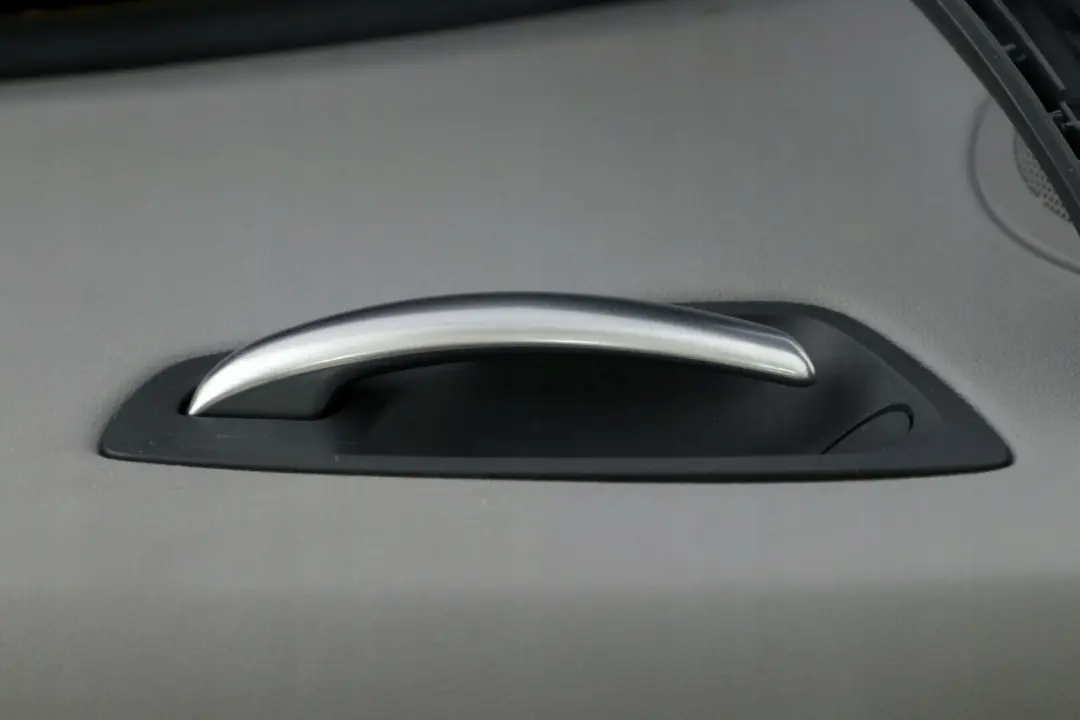 BMW E87 Pannello Porta Davanti Destra Alaskagrau - SKU 7133302 - Numero di parte 51417133302