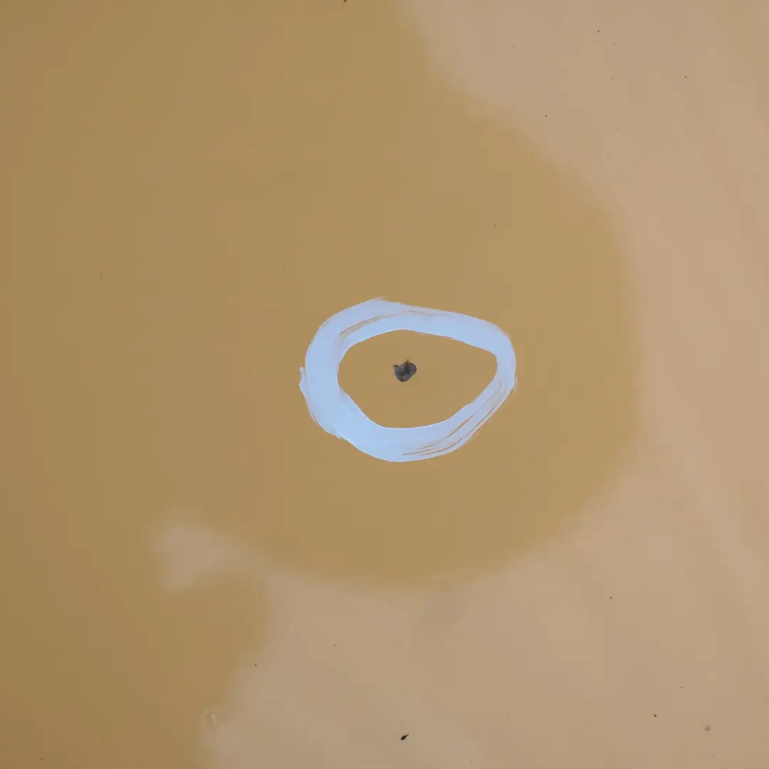 Drzwi prawe Mellow Yellow A58 do MINI R55 R56 o numerze 2755936 MINI R55 R56 Drzwi prawe Mellow Yellow A58 - SKU 2755936-MY2 - Numer Części 2755936