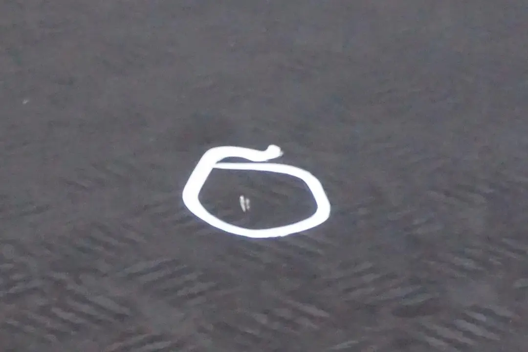 Porta posteriore destra Sparkling Graphite Metallic - A22 per H E87 con numero di parte 7191018 H E87 Porta posteriore destra Sparkling Graphite Metallic - A22 - SKU 7191018-SG12 - Numero di parte 7191018