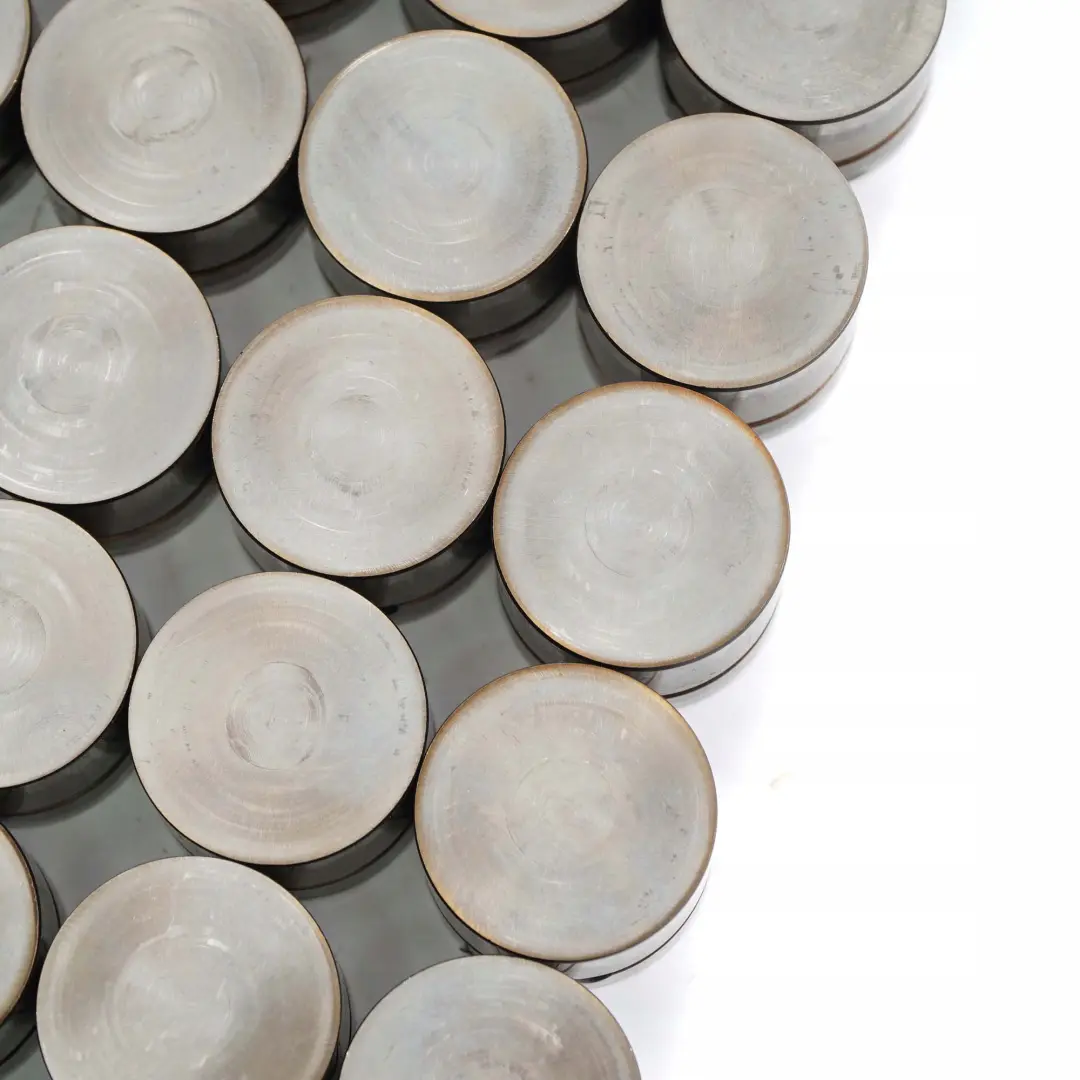 M54 Popychacz popychacze do BMW X3 X5 E53 E60 E65 E83 o numerze 1748884 BMW X3 X5 E53 E60 E65 E83 M54 Popychacz popychacze - SKU 1748884-1 - Numer Części 1748884