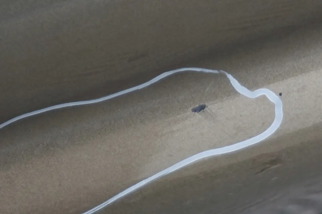 Sill Strip Side Skirt Right O/S Sonora Metallic - A23 to BMW 1 SERIES 4 E87 with Part number 0032948 BMW 1 SERIES 4 E87 Sill Strip Side Skirt Right O/S Sonora Metallic - A23 - SKU 0032948-SON4 - Part number 0032948