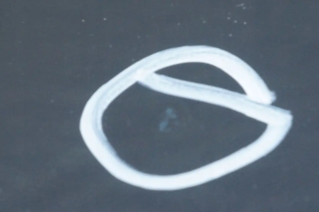 arriere droite Schwarz 2 Black - 668 pour BMW X5 Series E53 Porte à propos du numéro de pièce 8256828 BMW X5 Series E53 Porte arriere droite Schwarz 2 Black - 668 - SKU 8256828-SCH - Numéro de pièce 8256828