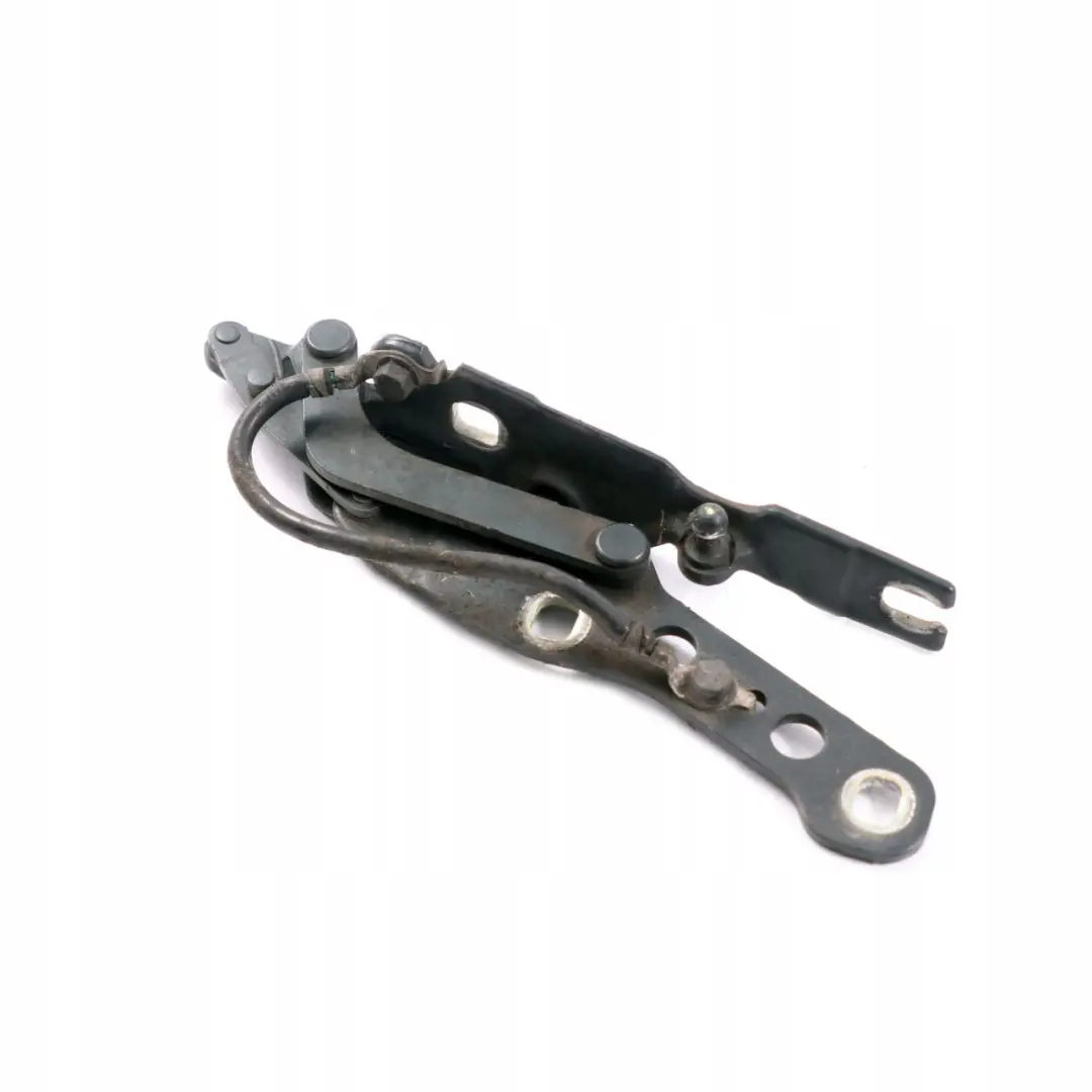 BMW E46 Charniere Rabat a Gauche Vert Oxford Vert Metallique - 430 - SKU 7028577-OXF - Numéro de pièce 7028577