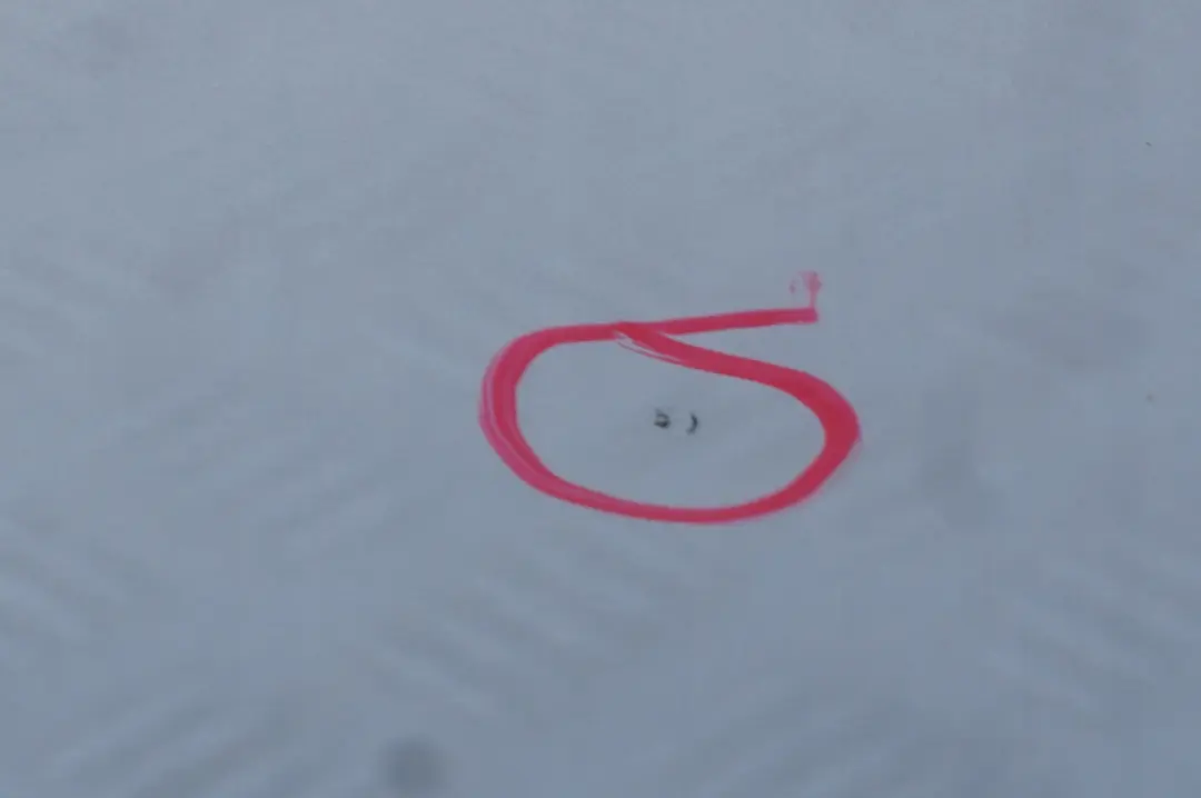 Door Rear Left N/S Titansilber Silver Silber Metallic to BMW 3 Series 28 E90 E90N with Part number 7203647 BMW 3 Series 28 E90 E90N Door Rear Left N/S Titansilber Silver Silber Metallic - SKU 7203647-TS28 - Part number 7203647