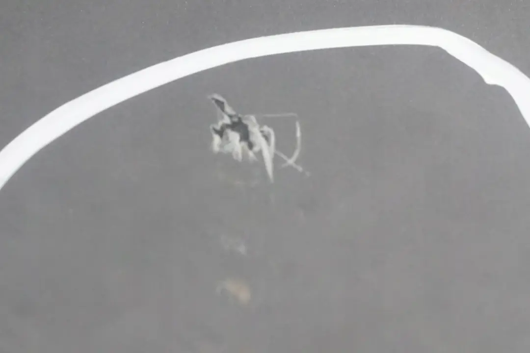 Door Rear Left N/S Silbergrau Silver Grey Metallic A08 to BMW X3 Series E83 2 with Part number 3449337 BMW X3 Series E83 2 Door Rear Left N/S Silbergrau Silver Grey Metallic A08 - SKU 3449337-SBG2 - Part number 3449337