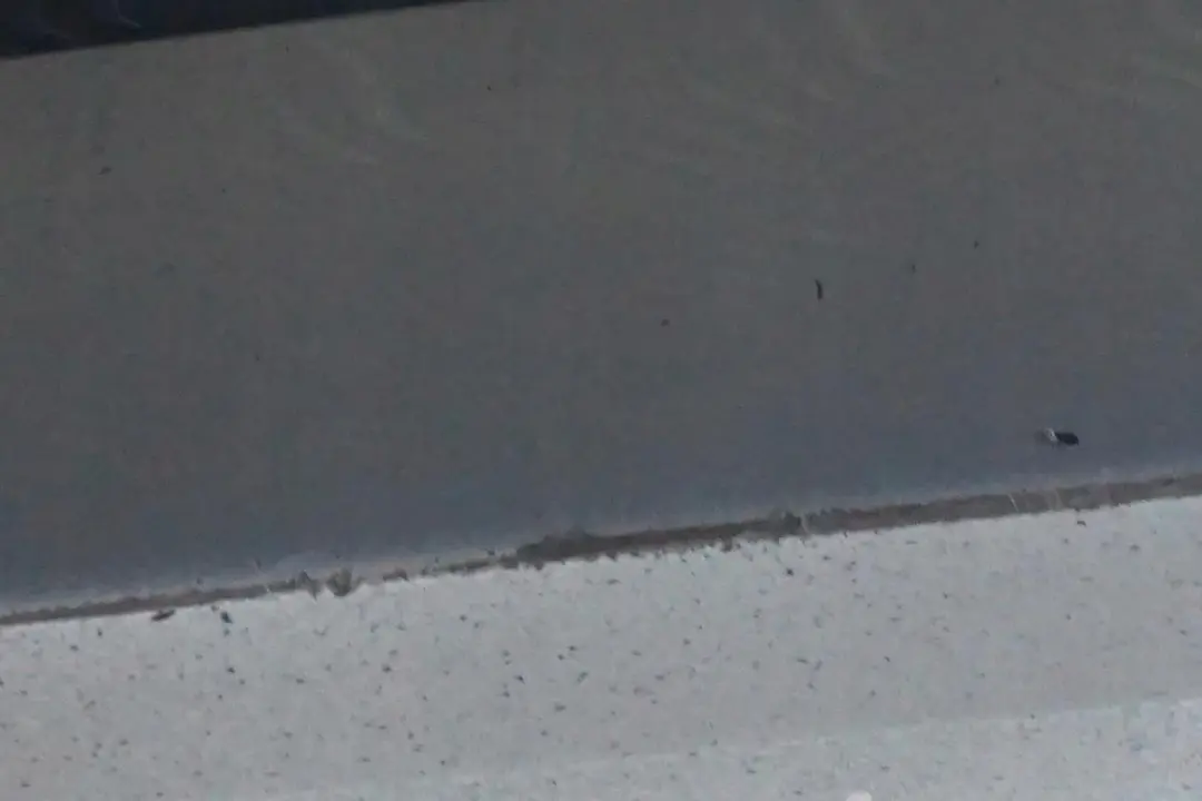 nakładka próg lewy Bluewater do BMW E90 LCI o numerze 0037059 BMW E90 LCI nakładka próg lewy Bluewater - SKU 0037059-WB2 - Numer Części 0037059